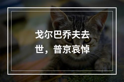 戈尔巴乔夫去世，普京哀悼