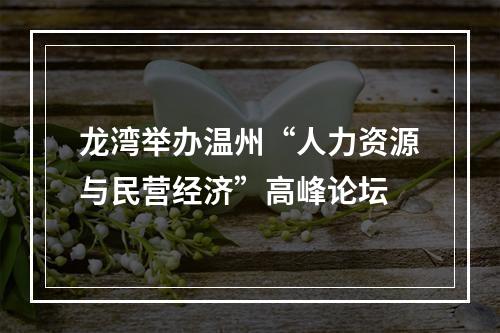 龙湾举办温州“人力资源与民营经济”高峰论坛