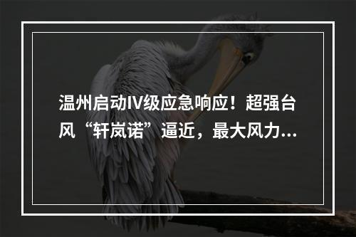 温州启动IV级应急响应！超强台风“轩岚诺”逼近，最大风力17级以上！还有1 ...