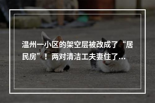 温州一小区的架空层被改成了“居民房”！两对清洁工夫妻住了快五年…