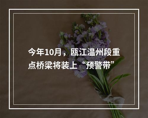 今年10月，瓯江温州段重点桥梁将装上“预警带”