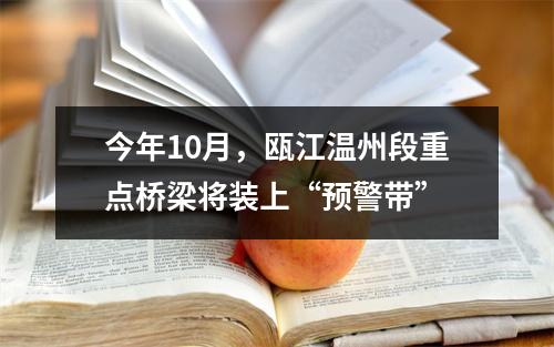 今年10月，瓯江温州段重点桥梁将装上“预警带”