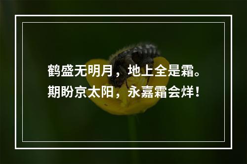 鹤盛无明月，地上全是霜。期盼京太阳，永嘉霜会烊！