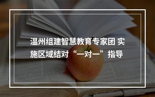 温州组建智慧教育专家团 实施区域结对“一对一”指导