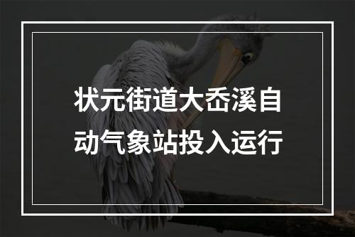 状元街道大岙溪自动气象站投入运行