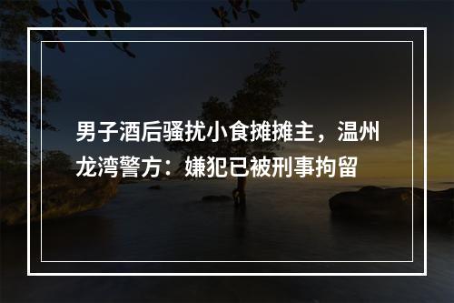 男子酒后骚扰小食摊摊主，温州龙湾警方：嫌犯已被刑事拘留