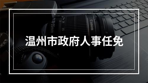 温州市政府人事任免