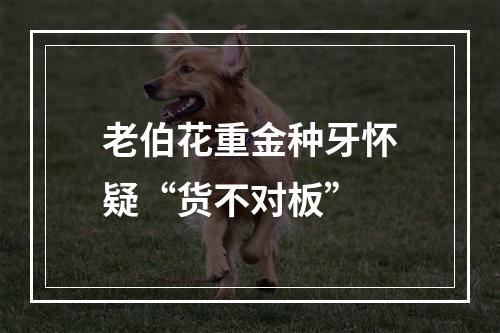 老伯花重金种牙怀疑“货不对板”