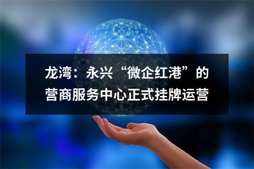 龙湾：永兴“微企红港”的营商服务中心正式挂牌运营