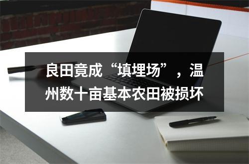 良田竟成“填埋场”，温州数十亩基本农田被损坏