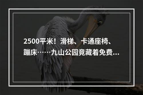2500平米！滑梯、卡通座椅、蹦床……九山公园竟藏着免费的儿童乐园