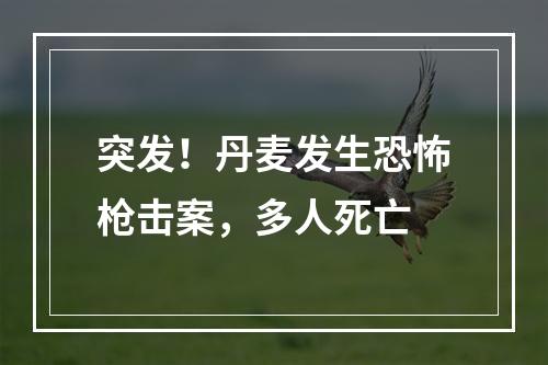 突发！丹麦发生恐怖枪击案，多人死亡