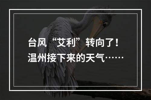 台风“艾利”转向了！温州接下来的天气……