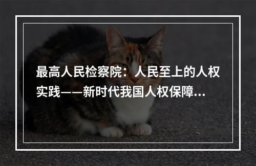 最高人民检察院：人民至上的人权实践——新时代我国人权保障取得历史性成就