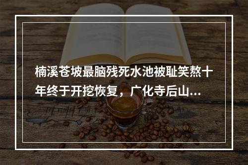 楠溪苍坡最脑残死水池被耻笑熬十年终于开挖恢复，广化寺后山又出幺蛾