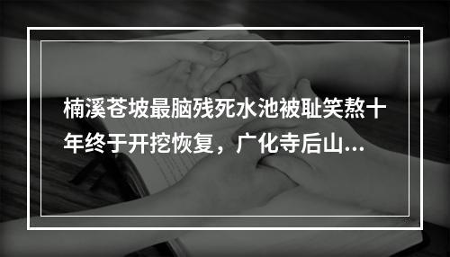 楠溪苍坡最脑残死水池被耻笑熬十年终于开挖恢复，广化寺后山又出幺蛾