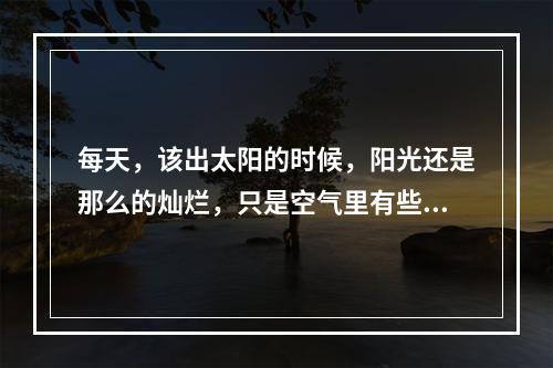 每天，该出太阳的时候，阳光还是那么的灿烂，只是空气里有些涩涩的味道。