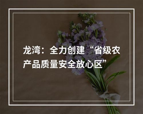 龙湾：全力创建“省级农产品质量安全放心区”