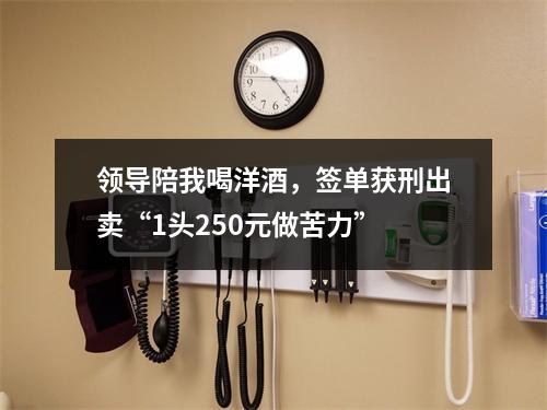 领导陪我喝洋酒，签单获刑出卖“1头250元做苦力”