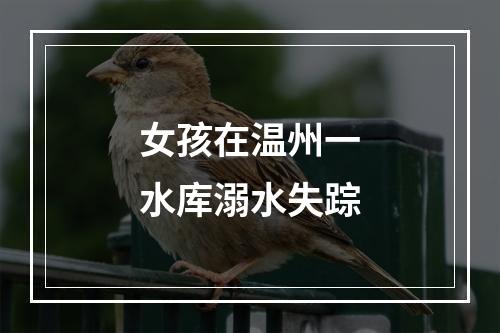 女孩在温州一水库溺水失踪