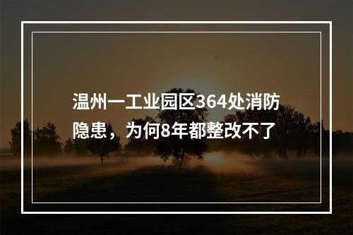 温州一工业园区364处消防隐患，为何8年都整改不了