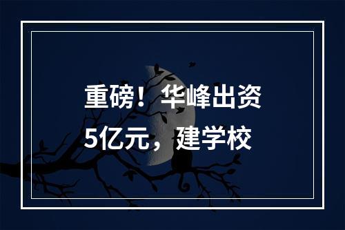 重磅！华峰出资5亿元，建学校