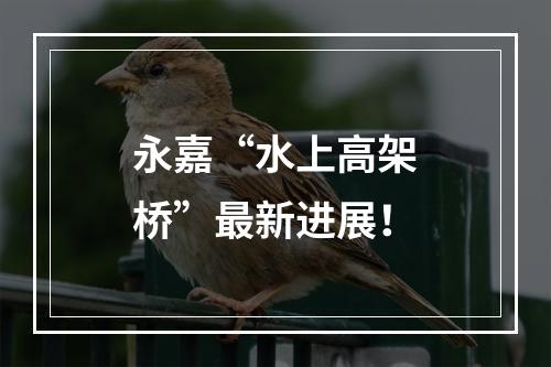 永嘉“水上高架桥”最新进展！