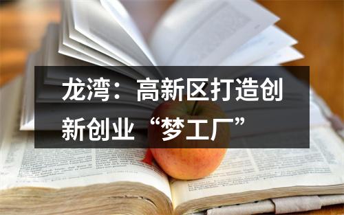 龙湾：高新区打造创新创业“梦工厂”