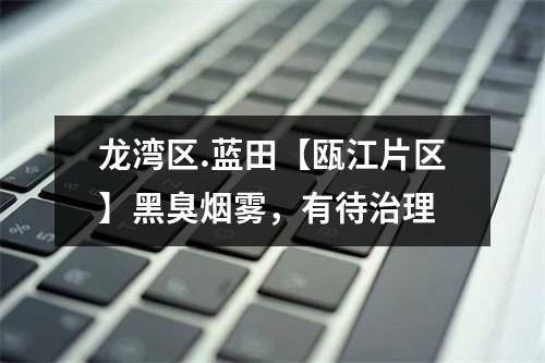 龙湾区.蓝田【瓯江片区】黑臭烟雾，有待治理