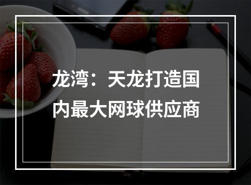 龙湾：天龙打造国内最大网球供应商