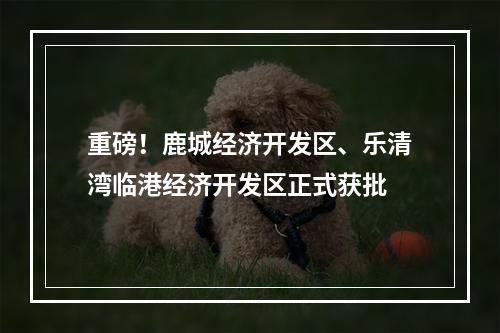 重磅！鹿城经济开发区、乐清湾临港经济开发区正式获批