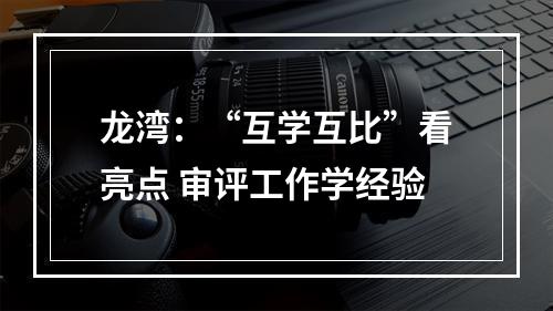 龙湾：“互学互比”看亮点 审评工作学经验