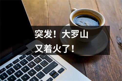 突发！大罗山又着火了！