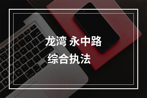 龙湾 永中路 综合执法