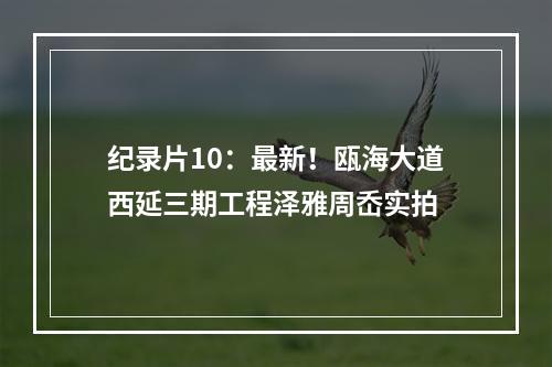 纪录片10：最新！瓯海大道西延三期工程泽雅周岙实拍