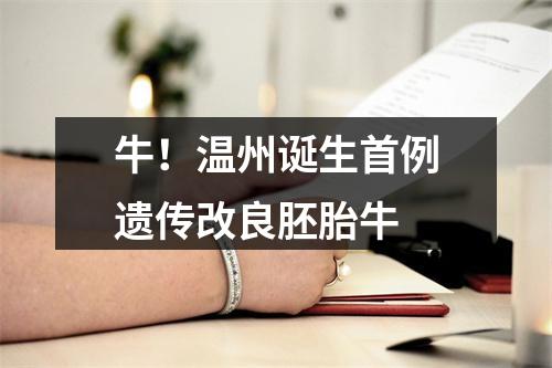 牛！温州诞生首例遗传改良胚胎牛