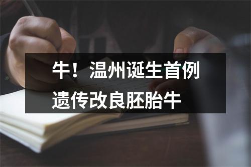 牛！温州诞生首例遗传改良胚胎牛