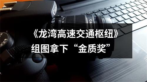 《龙湾高速交通枢纽》 组图拿下“金质奖”