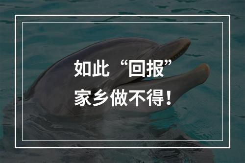 如此“回报”家乡做不得！