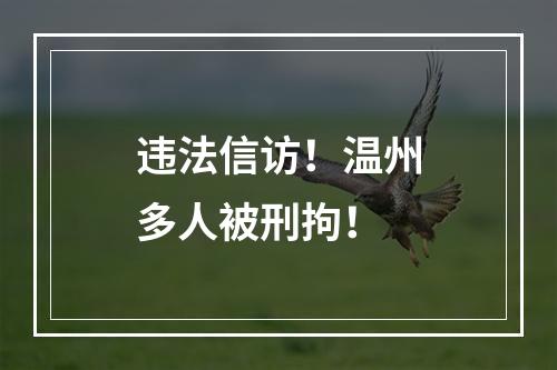 违法信访！温州多人被刑拘！