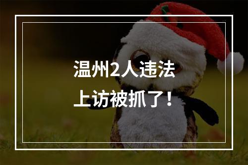 温州2人违法上访被抓了！