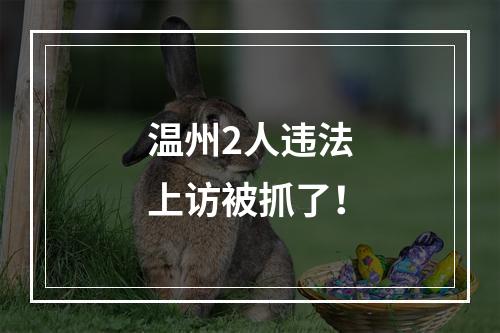 温州2人违法上访被抓了！