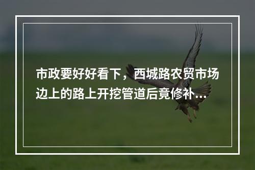市政要好好看下，西城路农贸市场边上的路上开挖管道后竟修补成这样