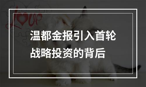 温都金报引入首轮战略投资的背后