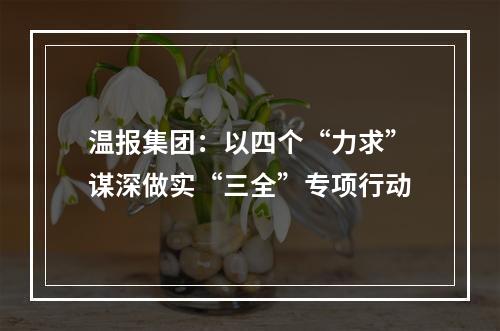 温报集团：以四个“力求”谋深做实“三全”专项行动