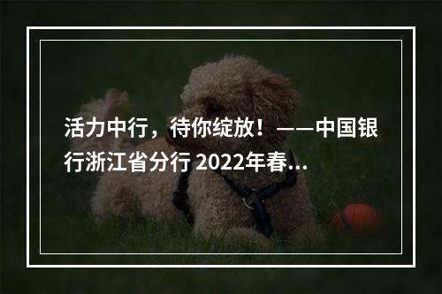 活力中行，待你绽放！——中国银行浙江省分行 2022年春季招聘与实习生招聘公告