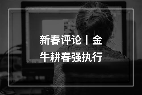 新春评论丨金牛耕春强执行