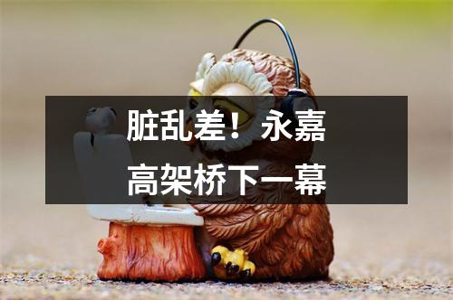 脏乱差！永嘉高架桥下一幕