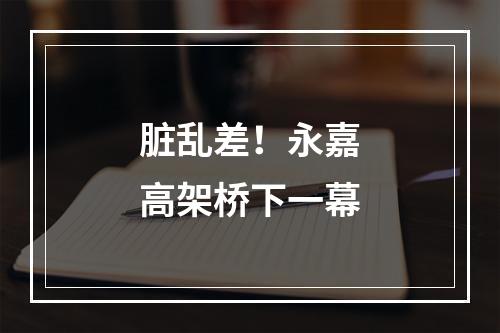 脏乱差！永嘉高架桥下一幕