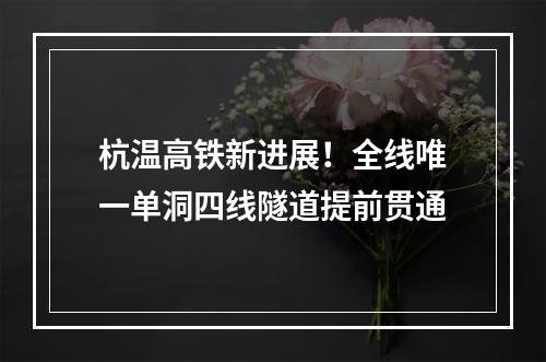 杭温高铁新进展！全线唯一单洞四线隧道提前贯通